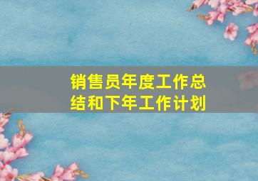 销售员年度工作总结和下年工作计划