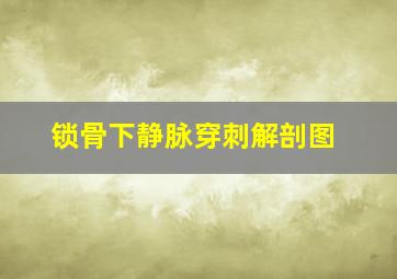 锁骨下静脉穿刺解剖图