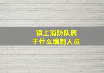 镇上消防队属于什么编制人员