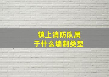 镇上消防队属于什么编制类型