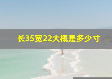 长35宽22大概是多少寸