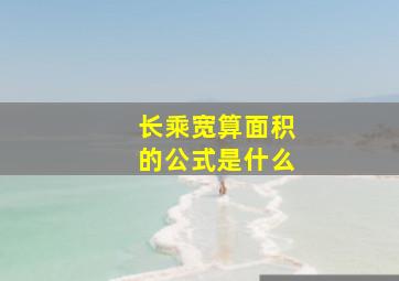 长乘宽算面积的公式是什么