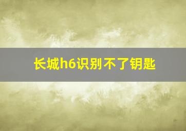 长城h6识别不了钥匙