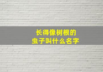 长得像树根的虫子叫什么名字