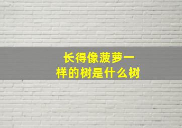 长得像菠萝一样的树是什么树