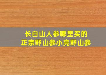 长白山人参哪里买的正宗野山参小亮野山参