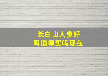 长白山人参好吗值得买吗现在