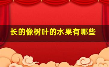 长的像树叶的水果有哪些