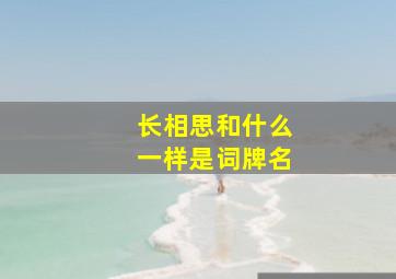 长相思和什么一样是词牌名