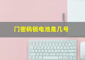 门密码锁电池是几号