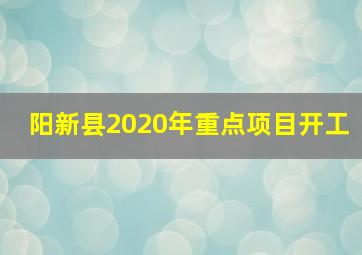 阳新县2020年重点项目开工