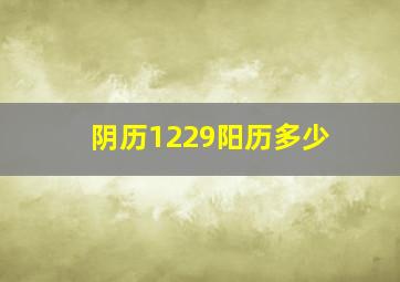 阴历1229阳历多少