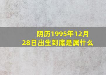 阴历1995年12月28日出生到底是属什么