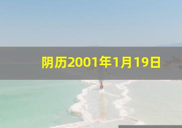 阴历2001年1月19日