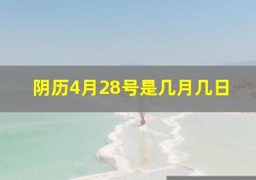 阴历4月28号是几月几日