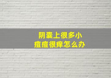 阴囊上很多小痘痘很痒怎么办