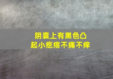 阴囊上有黑色凸起小疙瘩不痛不痒