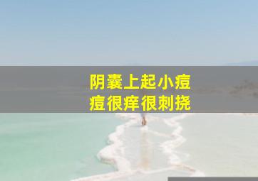 阴囊上起小痘痘很痒很刺挠