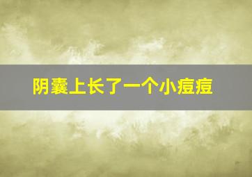 阴囊上长了一个小痘痘