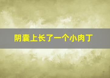 阴囊上长了一个小肉丁