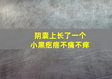 阴囊上长了一个小黑疙瘩不痛不痒