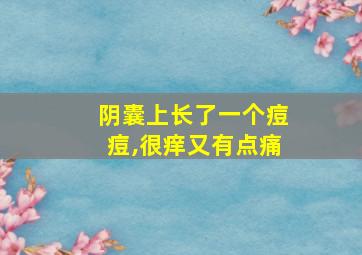 阴囊上长了一个痘痘,很痒又有点痛