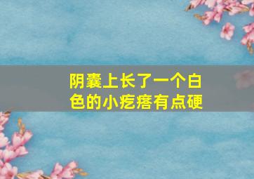 阴囊上长了一个白色的小疙瘩有点硬