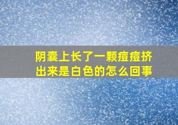 阴囊上长了一颗痘痘挤出来是白色的怎么回事