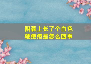 阴囊上长了个白色硬疙瘩是怎么回事