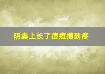 阴囊上长了痘痘摸到疼