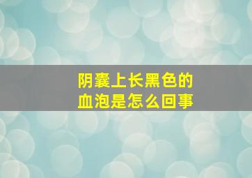 阴囊上长黑色的血泡是怎么回事