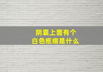 阴囊上面有个白色疙瘩是什么