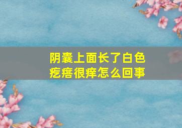 阴囊上面长了白色疙瘩很痒怎么回事