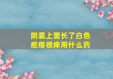 阴囊上面长了白色疙瘩很痒用什么药