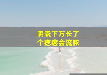 阴囊下方长了个疙瘩会流脓