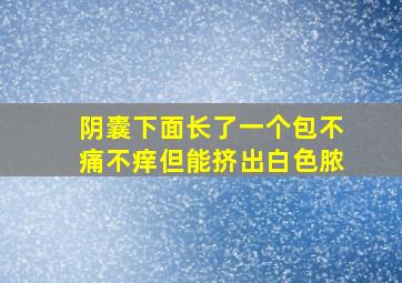 阴囊下面长了一个包不痛不痒但能挤出白色脓