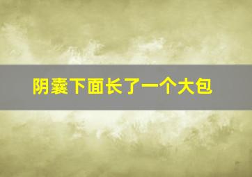 阴囊下面长了一个大包