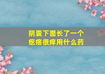 阴囊下面长了一个疙瘩很痒用什么药