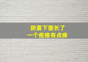 阴囊下面长了一个疙瘩有点痒