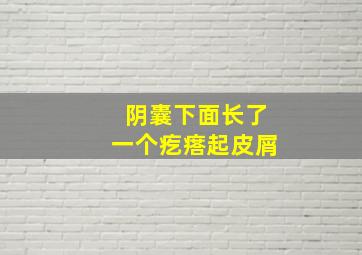 阴囊下面长了一个疙瘩起皮屑