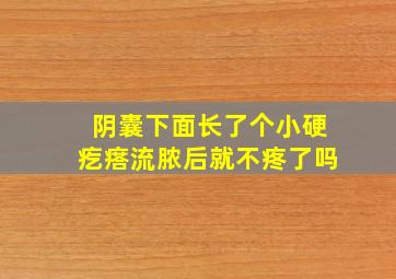 阴囊下面长了个小硬疙瘩流脓后就不疼了吗