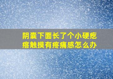 阴囊下面长了个小硬疙瘩触摸有疼痛感怎么办