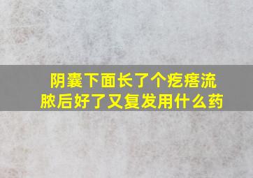 阴囊下面长了个疙瘩流脓后好了又复发用什么药