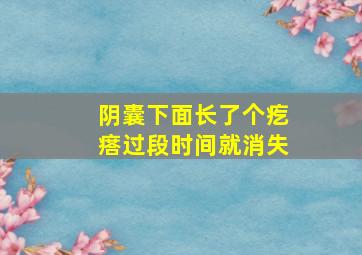 阴囊下面长了个疙瘩过段时间就消失