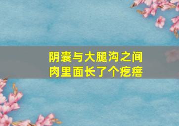 阴囊与大腿沟之间肉里面长了个疙瘩