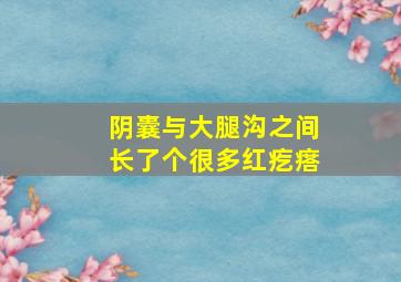 阴囊与大腿沟之间长了个很多红疙瘩