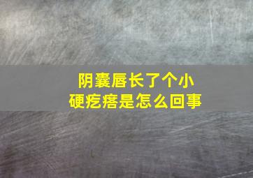 阴囊唇长了个小硬疙瘩是怎么回事