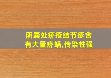 阴囊处疥疮结节疹含有大量疥螨,传染性强