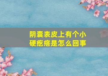 阴囊表皮上有个小硬疙瘩是怎么回事