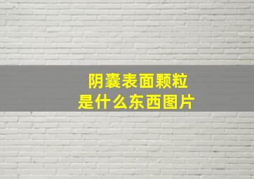 阴囊表面颗粒是什么东西图片